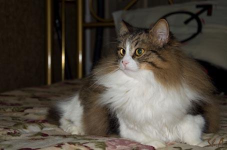 DSC_0922.jpg