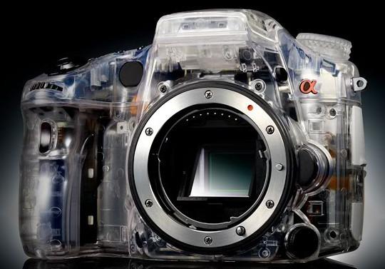 Sony Alpha.jpg