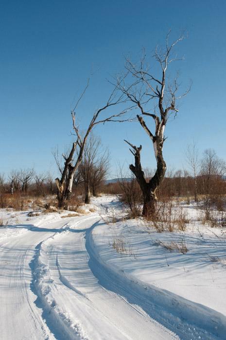 whitesnow_ideal2.jpg