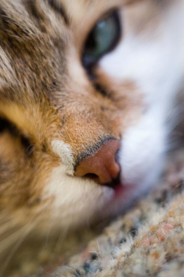 DSC_0362.jpg