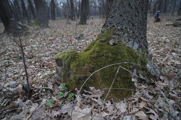 DSC_0309_02.JPG