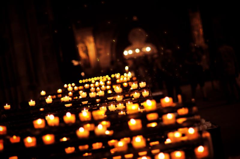 DSC_2264.jpg