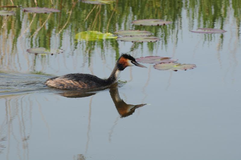 DSC_5990_t.jpg