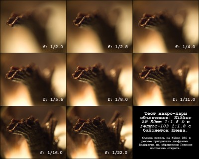 Sample.jpg