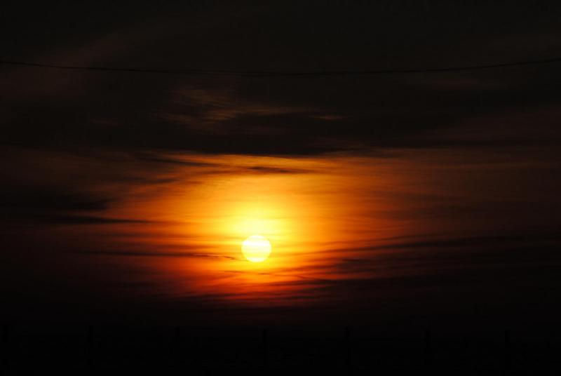 DSC_3391_1200.jpg