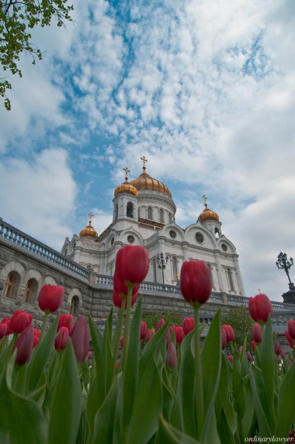 Арбат - Замоскворечье_20110507_0062_w_w.jpg