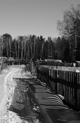 DSC_0234_BWProcSmall.jpg