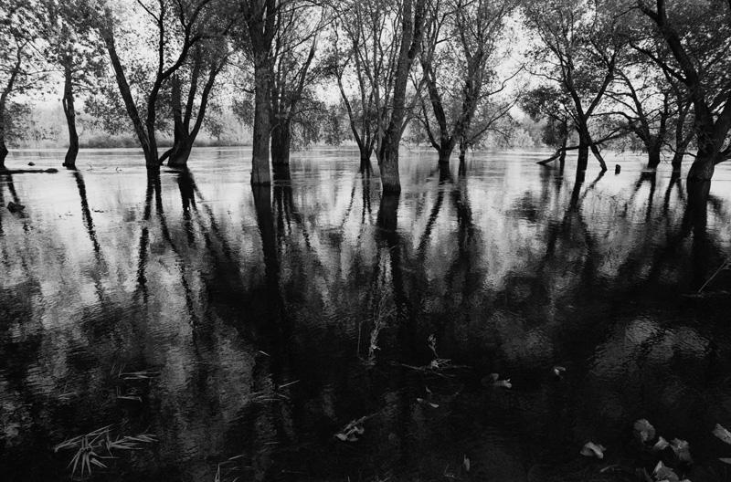 sc11_16-05-2011_nikon_f100_t-max400_20mm.jpg