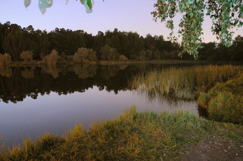 2011-05-29_23-50-0500_Nm_.jpg