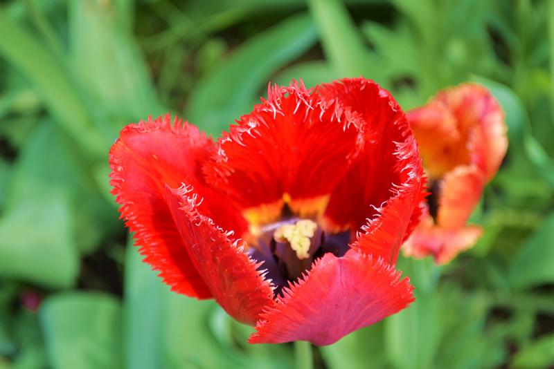 DSC_1353.jpg