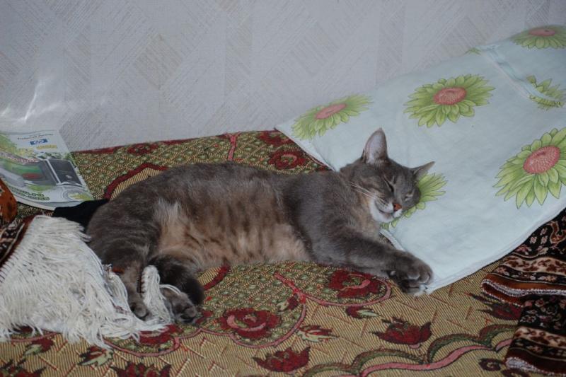 DSC_7972.jpg