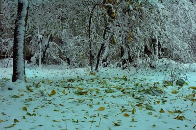 resize_dsc_0102b_1.jpg