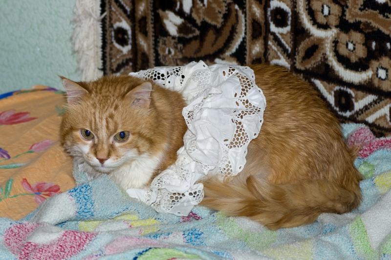 DSC_5173_resize.jpg