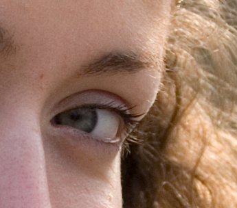 Crop3.jpg
