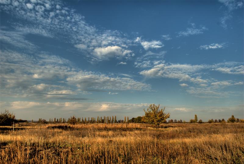 DSC_0001_CROP_nikonclub.jpg