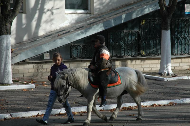 DSC_6597-copy.jpg