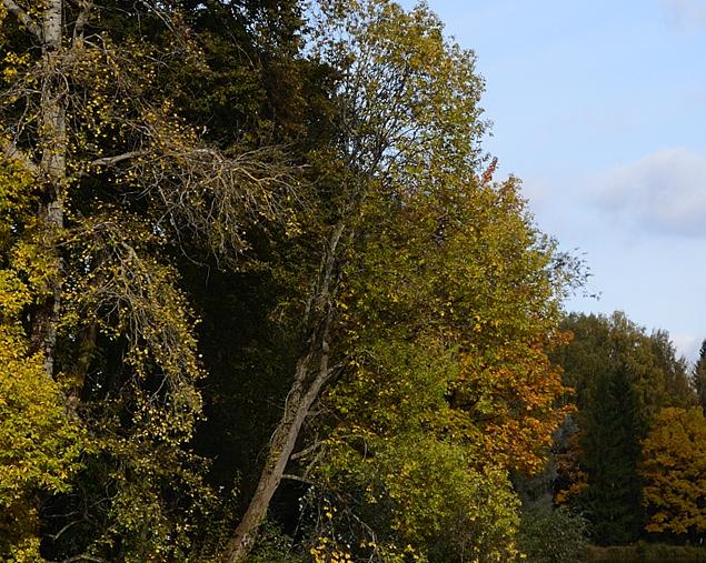 DSC_1847.jpg