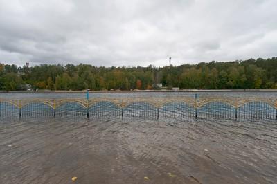 Серебряный Бор_2011.10.02_194.jpg
