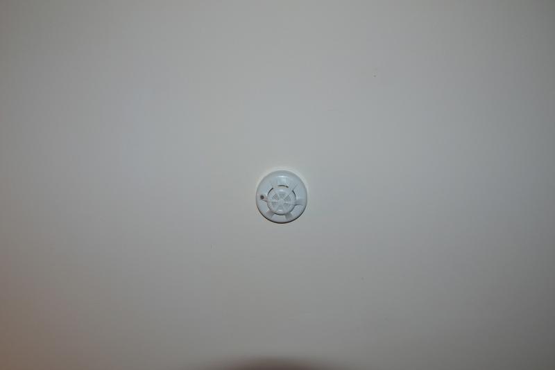 DSC_3881.JPG