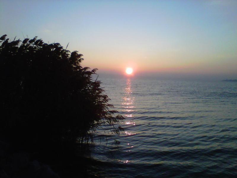 IMG-20111025-00011.jpg