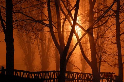res_dsc_0068c2.jpg