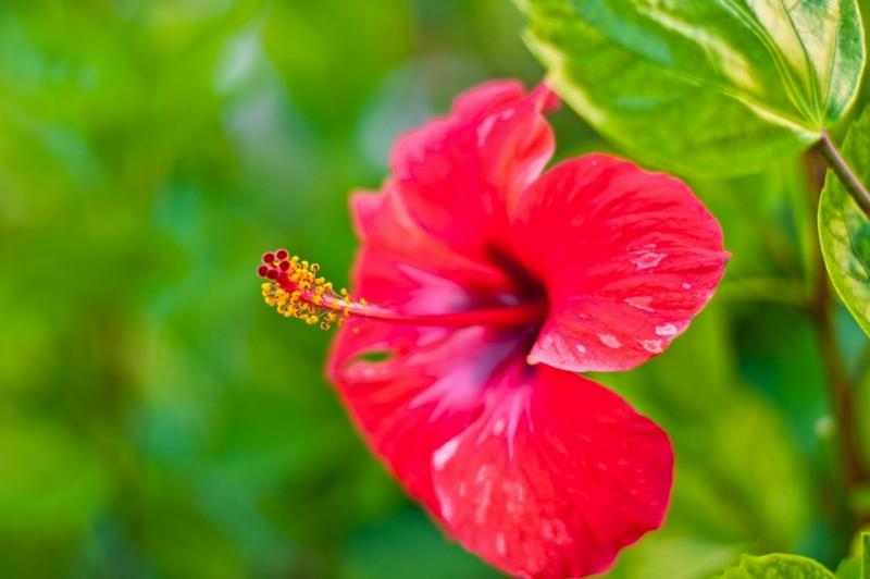 DSC_8627.jpg