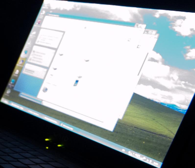 windows.jpg