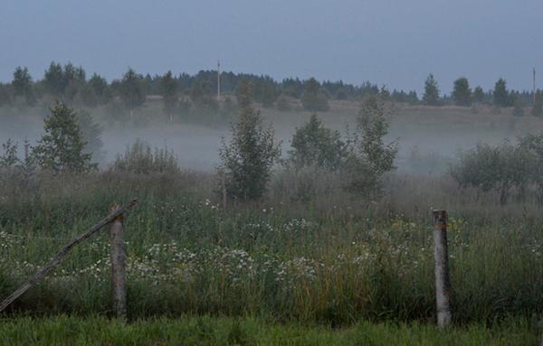 fog04-h.jpg