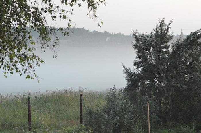 fog01.jpg