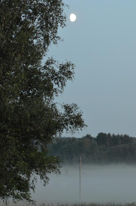 fog02.jpg
