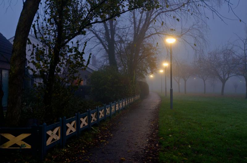 DSC_7692_400.jpg