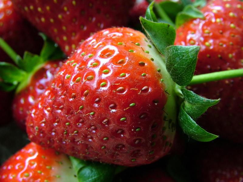 Strawberry.jpg