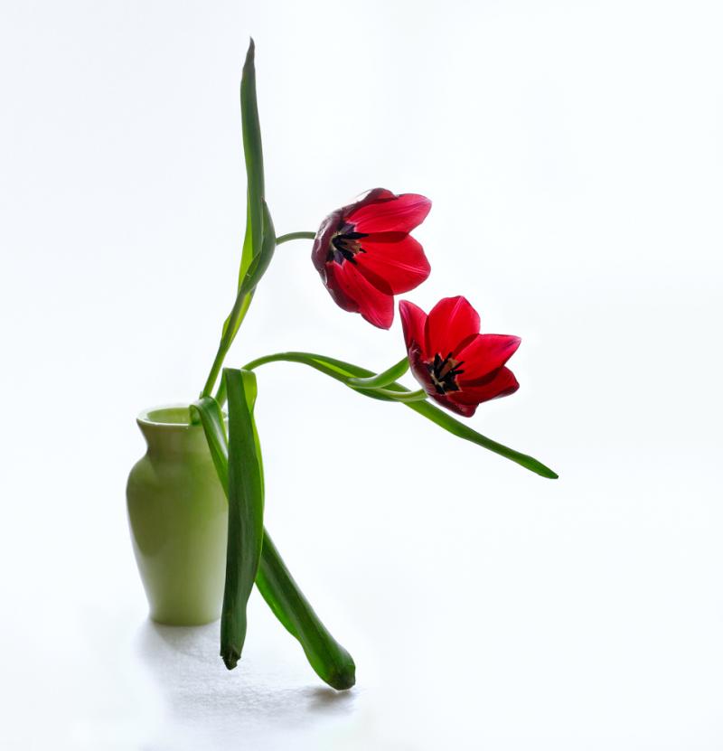 DSC_7920_300.jpg