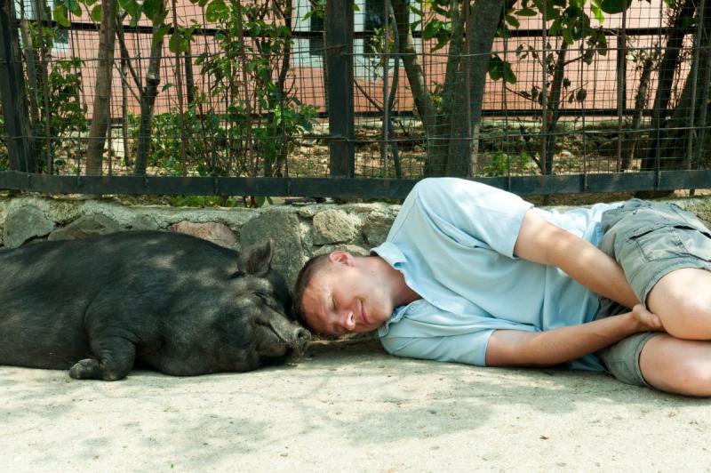 zoo 2.JPG