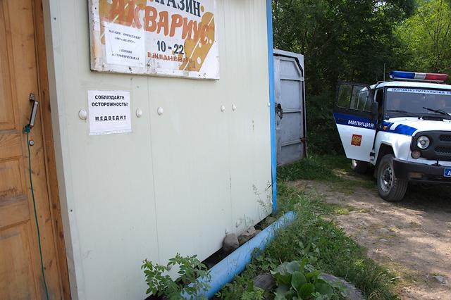 медведи.jpg