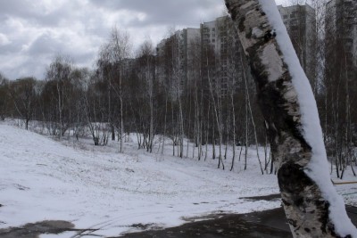 P1000437.JPG