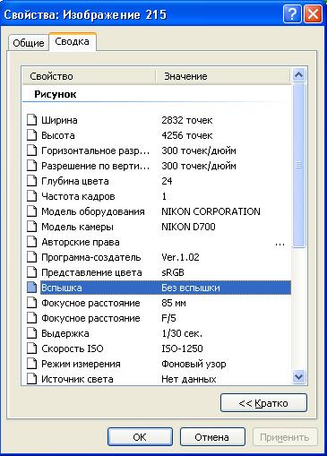 экзиф.jpg
