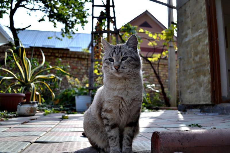 DSC_0402.jpg
