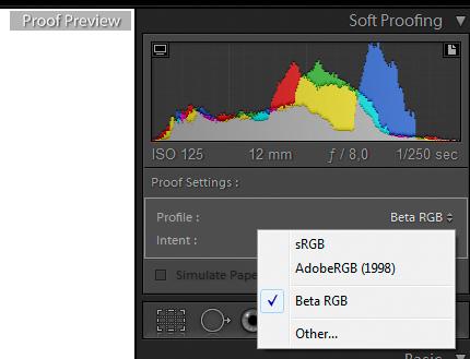 Soft Proof.jpg