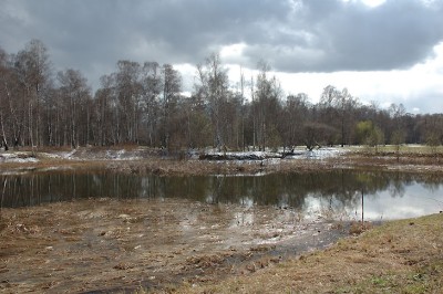 DSC_0579.jpg