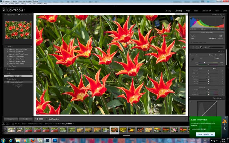 Untitled-21 sRGB.jpg