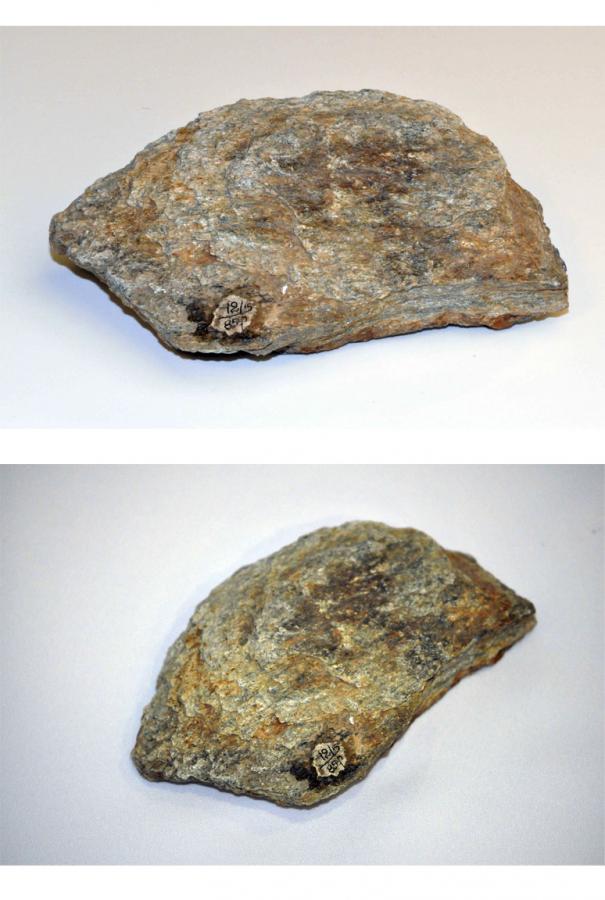 Без имени-1.jpg