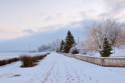 _DSC0576_print_resize.jpg