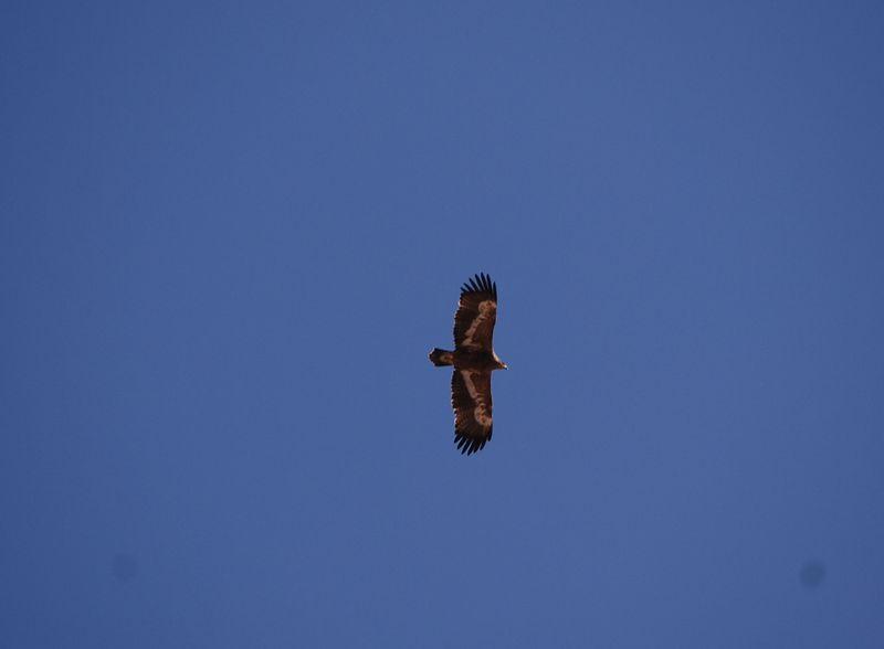DSC_0772.jpg