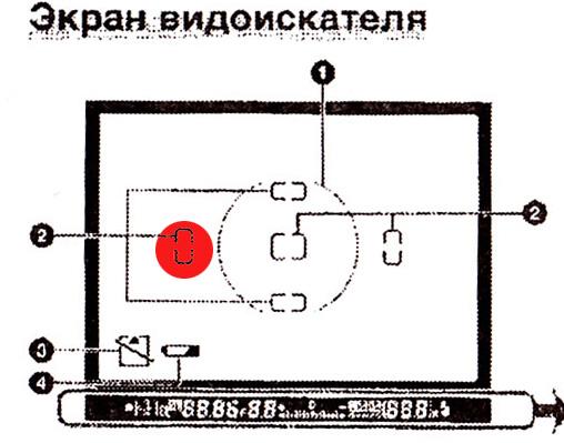 IMG1.jpg