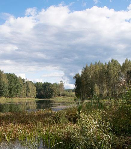 kozl-2.jpg