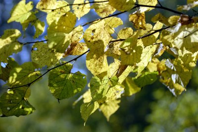 _DSC4640.jpg