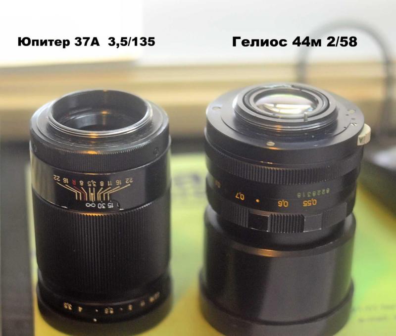 CSC_2864 copy.jpg
