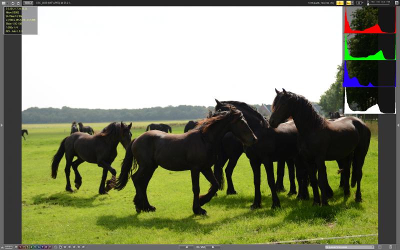 DSC_0035_vnx.jpg