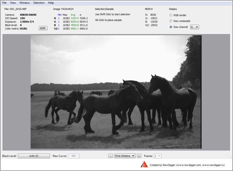DSC_0035-G.png